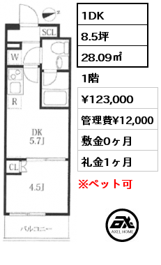 1DK 28.09㎡ 1階 賃料¥123,000 管理費¥12,000 敷金0ヶ月 礼金1ヶ月 6/15退去予定　