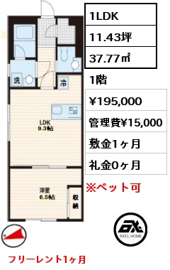 間取り11 1LDK 37.77㎡ 1階 賃料¥195,000 管理費¥15,000 敷金1ヶ月 礼金0ヶ月 フリーレント1ヶ月