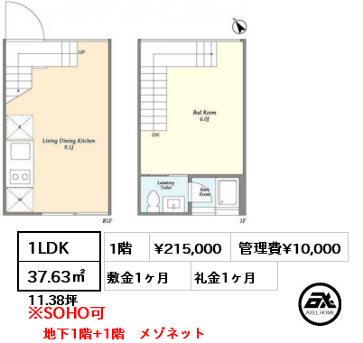 1LDK 37.63㎡ 1階 賃料¥225,000 管理費¥10,000 敷金1ヶ月 礼金1ヶ月 3月上旬入居予定　地下1階