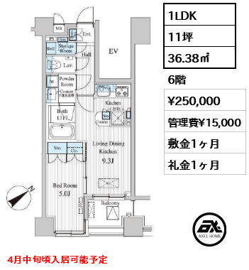 間取り11 1LDK 36.38㎡  賃料¥250,000 管理費¥15,000 敷金1ヶ月 礼金1ヶ月 4月中旬頃入居可能予定　