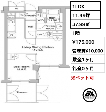 間取り11 1LDK 37.99㎡ 1階 賃料¥175,000 管理費¥10,000 敷金1ヶ月 礼金0ヶ月 　