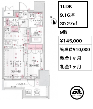 間取り11 1LDK 30.27㎡ 9階 賃料¥145,000 管理費¥10,000 敷金1ヶ月 礼金1ヶ月