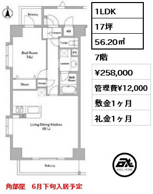 間取り11 1LDK 56.20㎡ 7階 賃料¥258,000 管理費¥12,000 敷金1ヶ月 礼金1ヶ月 角部屋　6月下旬入居予定