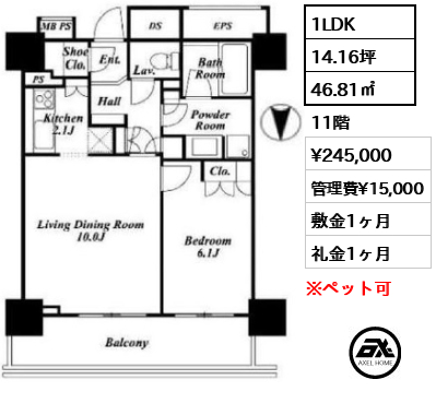 間取り11 1LDK 46.81㎡  賃料¥245,000 管理費¥15,000 敷金1ヶ月 礼金1ヶ月