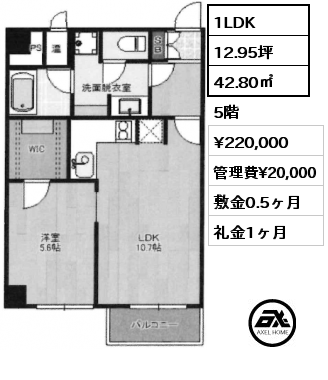 間取り11 1LDK 42.80㎡ 5階 賃料¥220,000 管理費¥20,000 敷金0.5ヶ月 礼金1ヶ月