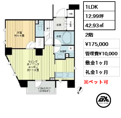 間取り11 1LDK 42.93㎡  賃料¥175,000 管理費¥10,000 敷金1ヶ月 礼金1ヶ月 　　