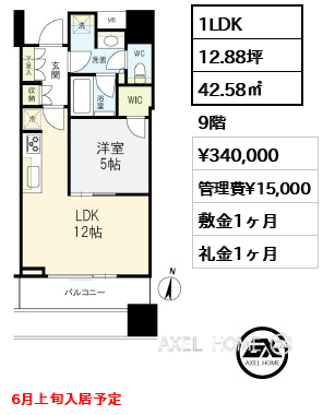 1LDK 42.58㎡  賃料¥340,000 管理費¥15,000 敷金1ヶ月 礼金1ヶ月 6月上旬入居予定