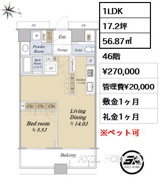 1LDK 56.87㎡  賃料¥270,000 管理費¥20,000 敷金1ヶ月 礼金1ヶ月