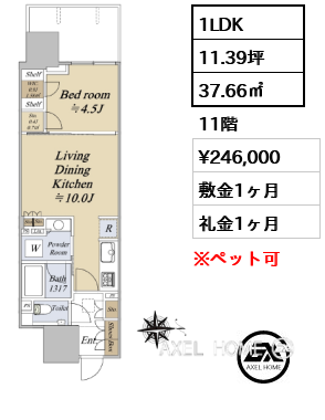 1LDK 37.66㎡  賃料¥246,000 敷金1ヶ月 礼金1ヶ月