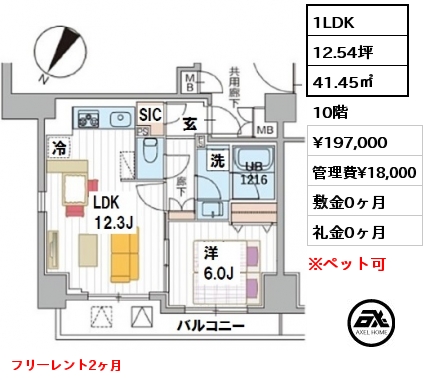 間取り12 1LDK 41.45㎡ 10階 賃料¥219,000 管理費¥18,000 敷金0ヶ月 礼金0ヶ月 フリーレント2ヶ月