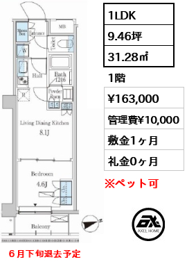 間取り12 1LDK 31.28㎡  賃料¥163,000 管理費¥10,000 敷金1ヶ月 礼金0ヶ月 ６月下旬退去予定