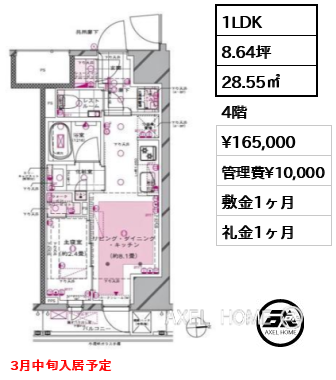 1LDK 28.55㎡  賃料¥165,000 管理費¥10,000 敷金1ヶ月 礼金1ヶ月 3月中旬入居予定