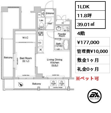 間取り12 1LDK 39.01㎡ 4階 賃料¥177,000 管理費¥10,000 敷金1ヶ月 礼金0ヶ月