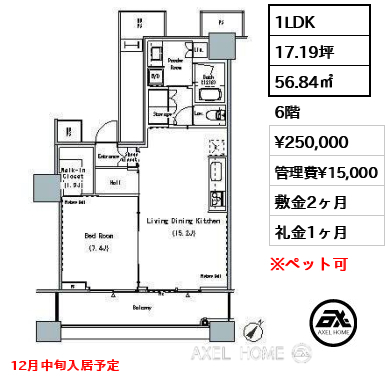 1LDK 56.84㎡  賃料¥250,000 管理費¥15,000 敷金2ヶ月 礼金1ヶ月 12月中旬入居予定