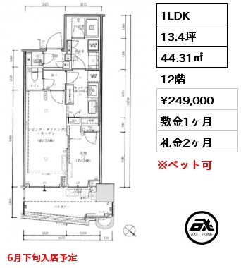 1LDK 44.31㎡ 12階 賃料¥249,000 敷金1ヶ月 礼金2ヶ月 6月下旬入居予定