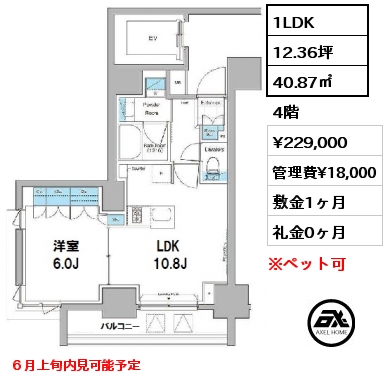 間取り13 1LDK 40.87㎡ 7階 賃料¥226,000 管理費¥18,000 敷金1ヶ月 礼金0ヶ月 　