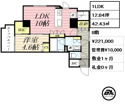 間取り13 1LDK 42.43㎡ 8階 賃料¥221,000 管理費¥10,000 敷金1ヶ月 礼金0ヶ月
