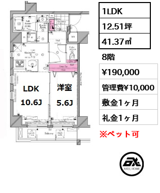 間取り13 1LDK 41.37㎡  賃料¥190,000 管理費¥10,000 敷金1ヶ月 礼金1ヶ月