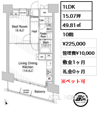 間取り13 1LDK 49.81㎡  賃料¥225,000 管理費¥10,000 敷金1ヶ月 礼金0ヶ月