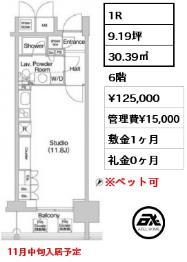間取り13 1K 30.39㎡ 6階 賃料¥125,000 管理費¥15,000 敷金1ヶ月 礼金0ヶ月 11月中旬入居予定