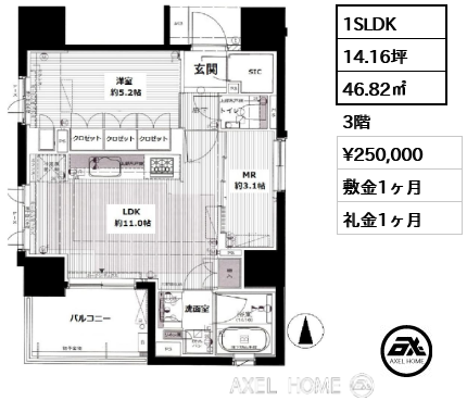間取り13 1SLDK 46.82㎡  賃料¥250,000 敷金1ヶ月 礼金1ヶ月 　