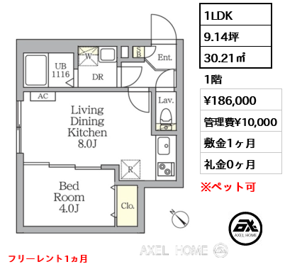 1LDK 30.21㎡  賃料¥186,000 管理費¥10,000 敷金1ヶ月 礼金0ヶ月 フリーレント1ヵ月