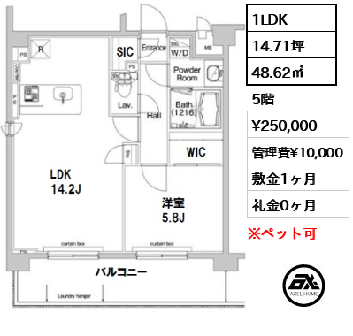 間取り14 1LDK 48.62㎡  賃料¥250,000 管理費¥10,000 敷金1ヶ月 礼金0ヶ月