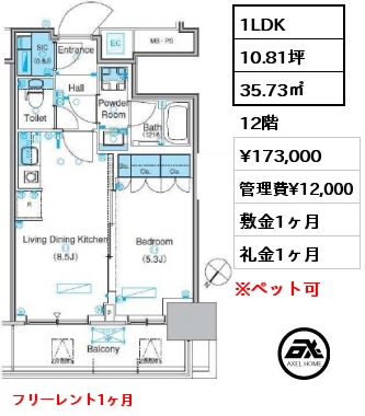 間取り14 1LDK 35.73㎡ 12階 賃料¥173,000 管理費¥12,000 敷金1ヶ月 礼金1ヶ月 フリーレント1ヶ月　　　
