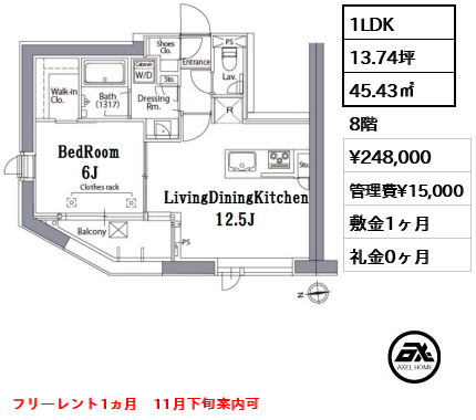 間取り15 1LDK 45.43㎡  賃料¥248,000 管理費¥15,000 敷金1ヶ月 礼金0ヶ月 フリーレント1ヵ月　11月下旬案内可　