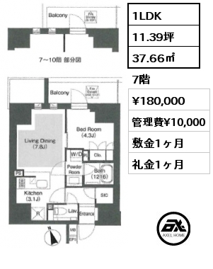 1LDK 37.66㎡ 7階 賃料¥180,000 管理費¥10,000 敷金1ヶ月 礼金1ヶ月 　