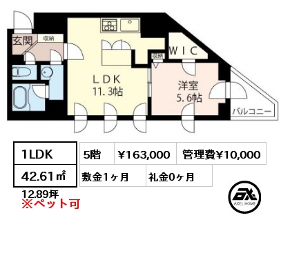 間取り15 1LDK 42.61㎡ 5階 賃料¥163,000 管理費¥10,000 敷金1ヶ月 礼金0ヶ月 5月上旬退去予定