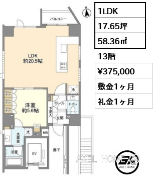 1LDK 58.36㎡  賃料¥375,000 敷金1ヶ月 礼金1ヶ月