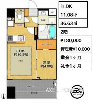 間取り15 1LDK 36.63㎡  賃料¥180,000 管理費¥10,000 敷金1ヶ月 礼金1ヶ月