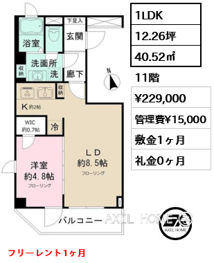 1LDK 40.52㎡  賃料¥229,000 管理費¥15,000 敷金1ヶ月 礼金0ヶ月 フリーレント1ヶ月