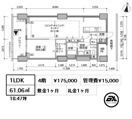 1LDK 61.06㎡ 4階 賃料¥175,000 管理費¥15,000 敷金1ヶ月 礼金1ヶ月