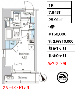 1R 25.91㎡ 9階 賃料¥150,000 管理費¥10,000 敷金1ヶ月 礼金0ヶ月 フリーレント1ヶ月