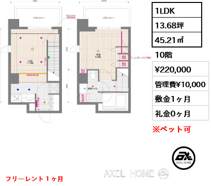 1LDK 45.21㎡  賃料¥220,000 管理費¥10,000 敷金1ヶ月 礼金0ヶ月 フリーレント１ヶ月