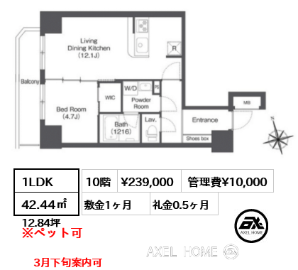 1LDK 42.44㎡  賃料¥239,000 管理費¥10,000 敷金1ヶ月 礼金0.5ヶ月 3月下旬案内可