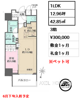 1LDK 42.85㎡  賃料¥300,000 敷金1ヶ月 礼金1ヶ月 6月下旬入居予定