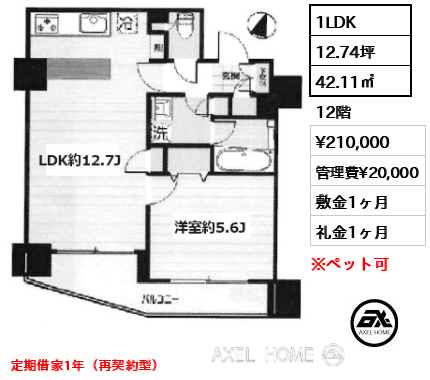 1LDK 42.11㎡  賃料¥250,000 管理費¥20,000 敷金1ヶ月 礼金1ヶ月 定期借家1年（再契約相談可）　11/10退去予定