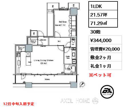 1R 44.50㎡  賃料¥210,000 管理費¥10,000 敷金2ヶ月 礼金1ヶ月 12月中旬入居予定