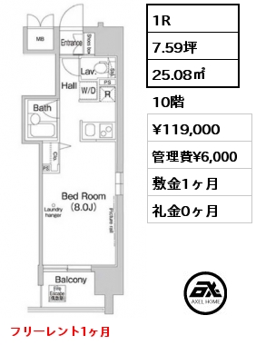 1R 25.08㎡ 10階 賃料¥119,000 管理費¥6,000 敷金1ヶ月 礼金0ヶ月 フリーレント1ヶ月　