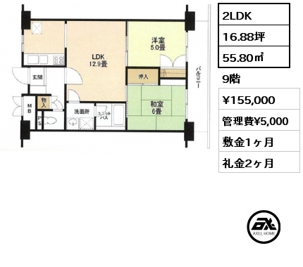 2LDK 55.80㎡ 9階 賃料¥155,000 管理費¥5,000 敷金1ヶ月 礼金2ヶ月