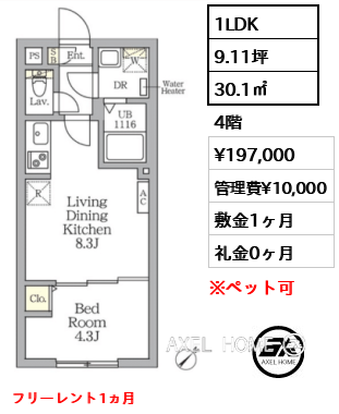 1LDK 30.1㎡  賃料¥197,000 管理費¥10,000 敷金1ヶ月 礼金0ヶ月 フリーレント1ヵ月
