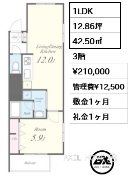 1LDK 42.50㎡  賃料¥210,000 管理費¥12,500 敷金1ヶ月 礼金1ヶ月