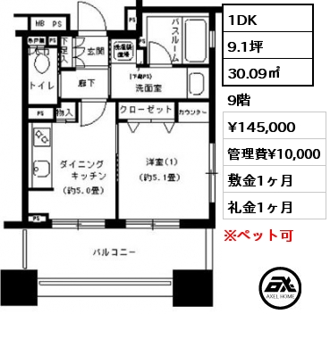 1DK 30.09㎡ 9階 賃料¥145,000 管理費¥10,000 敷金1ヶ月 礼金1ヶ月