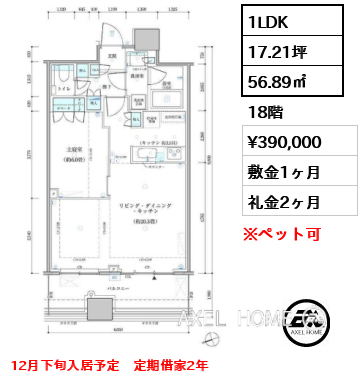 1LDK 56.89㎡  賃料¥390,000 敷金1ヶ月 礼金2ヶ月 12月下旬入居予定　定期借家2年