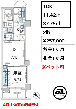 1DK 37.75㎡ 2階 賃料¥257,000 敷金1ヶ月 礼金1ヶ月 4月上旬案内可能予定　