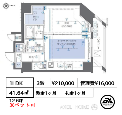 1LDK 41.64㎡  賃料¥210,000 管理費¥16,000 敷金1ヶ月 礼金1ヶ月