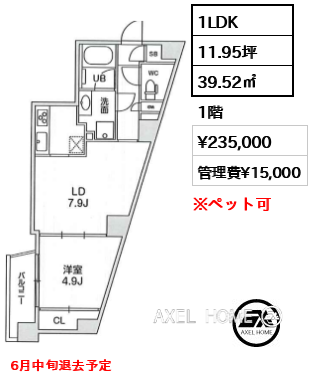 1LDK 39.52㎡  賃料¥235,000 管理費¥15,000 6月中旬退去予定